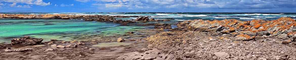 Whale Coast & Overberg Accommodation footer banner