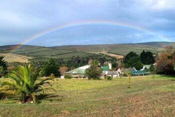 Hemel en Aarde Valley, Wines, Hermanus, Overberg, Whale Coast