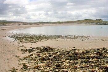 Suiderstrand, Agulhas National Park, Overberg, Whale Coast