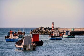 Struisbaai, harbour, fishing boats, Overberg, Whale Coast